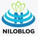 مهندس فرجی